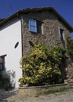 Spring - The Cottage